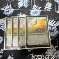 にってぃん様 リクエスト 2点 まとめ商品