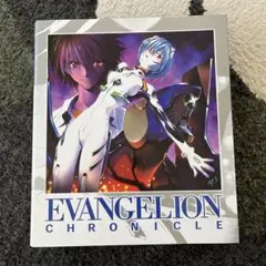 EVANGELION CHRONICLE & STORY File 全巻セット 2025年最新】エヴァンゲリオンクロニクルの人気アイテム - メルカリ