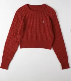 BEVERLY HILLS POLO CLUB ケーブルセーター2025AW