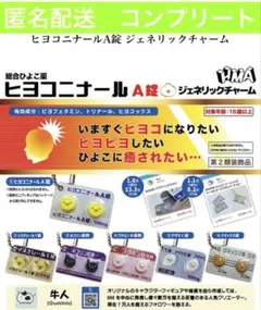 ヒヨコニナールA錠 ジェネリックチャーム　６種コンプリート④