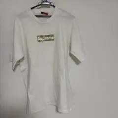 Item thumbnail for item 9d26a97e-858d-4f21-825d-a4a0535cb44e