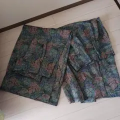 Item thumbnail for item 028f52a6-7192-4d88-89f3-3ee29cf2aed9