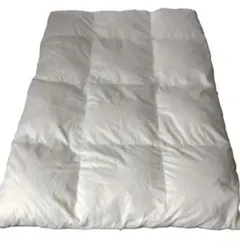 羽毛掛布団 ・ドイツ産 ディツマルシェ ロイヤルマイスター・シングル（日本製）