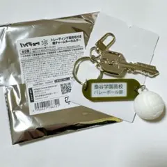 ハイキュー!! 鍵チャーム 梟谷学園高校