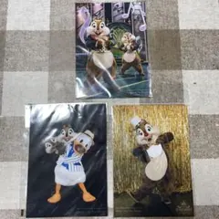 ⚠️値下げ中⚠️チップ　デール　ドナルド　実写　ブロマイド　写真　フォト　ディズニー