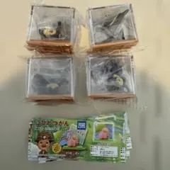こびとづかん こびと採取BOX　まとめ売り4点