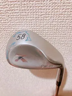 キャスコ　ドルフィン　DW-113 58度　DG S200