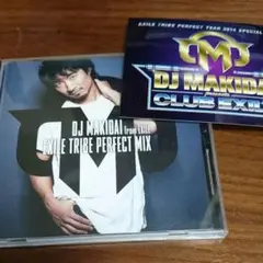 EXILE TRIBE PERFECT MIX