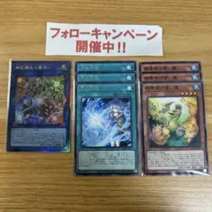 遊戯王 霊使い 新規 デッキパーツセット ②