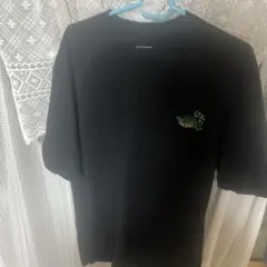 ノースフェイス都立明治公園限定Tシャツ