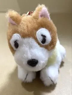 2026年最新】パトラッシュ ぬいぐるみの人気アイテム - メルカリ