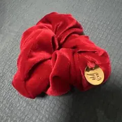 東北楽天ゴールデンイーグルス　シュシュ
