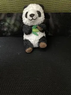 2025年最新】アドベンチャーワールドパンダの人気アイテム - メルカリ