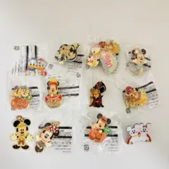 ディズニーランド ピンバッチ チャーム 14個セット