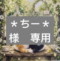 ＊ちー＊様　専用