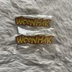 boynextdoor WOONHAK ピンバッジ 2個セット