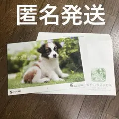 Item thumbnail for item 308e22f2-ec6e-4db1-9028-099434c3df5b