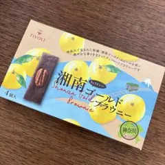 【新品・未開封】神奈川新銘菓＊ちぼり「湘南ゴールドブラウニー 」4個入りのサムネイル