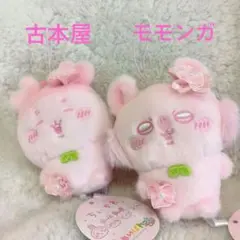 ちいかわ ぬいぱれっと さくらいろ モモンガ 古本屋 2点セット