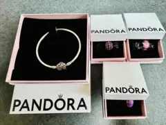 【新品✨】PANDORA パンドラ バングル＆チャーム×3のサムネイル