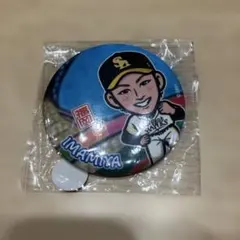 福岡ソフトバンクホークス 谷川原健太 選手 45 バッジ 若鷹ガチャ