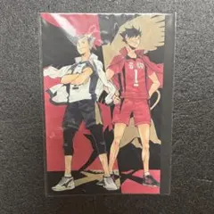 メルカリ最安！ハイキュー【ゲンガタイカン　黒尾&木兎　ポストカード】