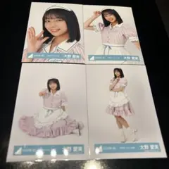 大野愛実 4種コンプ 2025ハロウィン