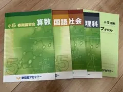 今だけ1800円引き‼️小4 冬期講習早稲田アカデミー 早稲アカ上位校4年 小4 冬期講習 早稲田アカデミー 早稲アカ 上位校 4年生 早稲アカ4年生