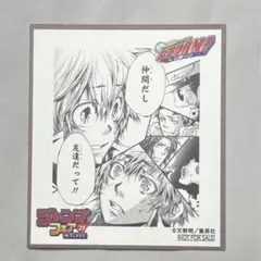 ジャンプフェア2025 ジャンフェス アニメイトフェア 特典 色紙 REBORN