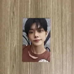 トゥバ ヨンジュン トレカ