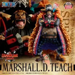ワンピース DXF～THE GRANDLINE SERIES～ ティーチ