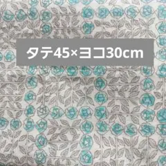 Item thumbnail for item 1147c65f-6557-4aab-95c7-be992e7887e5