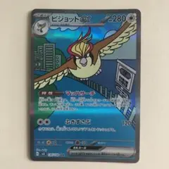 ピジョットex SAR