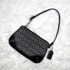 COACH コーチ アクセサリーポーチ 小物入れ シグネチャー バッグ