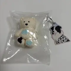 どんどん　クマスクイーズ