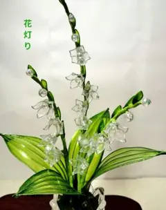△ 41. 鉢植え ダイアモンドダスト 新品 - メルカリ