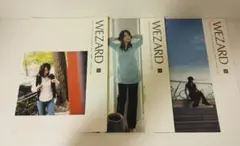 ZARD ファンクラブ会報 WEZARD vol31.32.33 坂井泉水さん