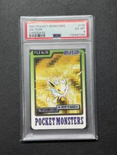 ワニノコ eカード アンリミ PSA6 2025年最新】鑑定状況：PSA6 ポケモンカードゲームの人気