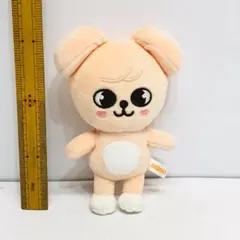 MINITEEN スングァン ぬいぐるみ プギュリ ミニティーン - メルカリ