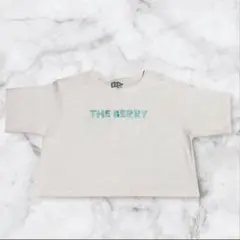 CIAOPANIC TYPY Tシャツ ショート丈 USA アメカジのサムネイル