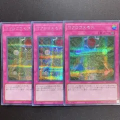 マクロコスモス