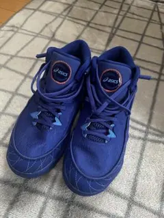 Item thumbnail for item e4fb5b40-ae5e-49ab-9502-8a288a4c6b29