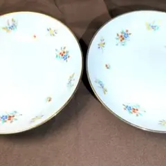 ノリタケ　花柄 金縁皿 丸皿　2枚セット