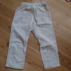 branshes 120 ストライプズボン