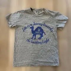 ハリウッドランチマーケット　Tシャツ　グレー　キャメル