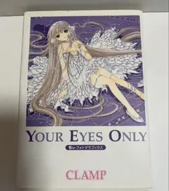ちぃフォトグラフィクス ちょびっツ 画集イラスト集 - メルカリ