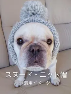 大きめサイズ 大好評♪ 手編み□ 犬 スヌード □ ボストンテリア
