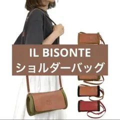 【希少品】半額以下！！イルビゾンテ IL BISONTE ショルダーバッグのサムネイル
