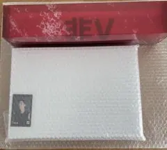 BTS V - TYPE 非 ユニバ インスタントフォト ポスターセット