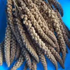 Tomu様 リクエスト 2点 まとめ商品